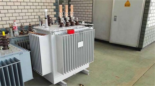 延边S12-315KVA/10KV/0.4KV油浸式变压器